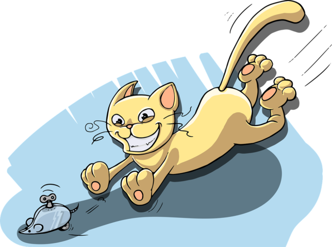 cat-1456878_1280 cat-catch-the-mouse